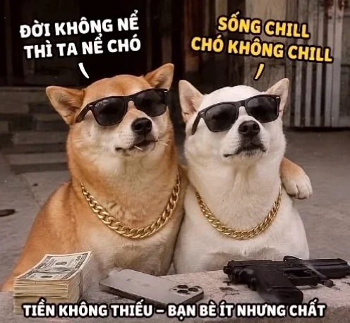 Bị gọi họp gấp lúc đang ngủ trưa ai mà chịu nổi