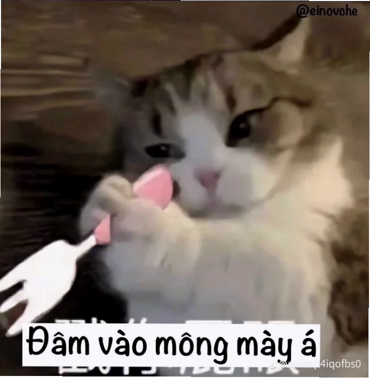 Biểu cảm chém đầu meme cực bựa