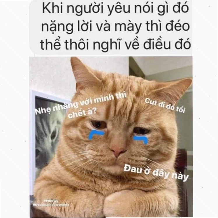 Biểu cảm đau tim dễ thương