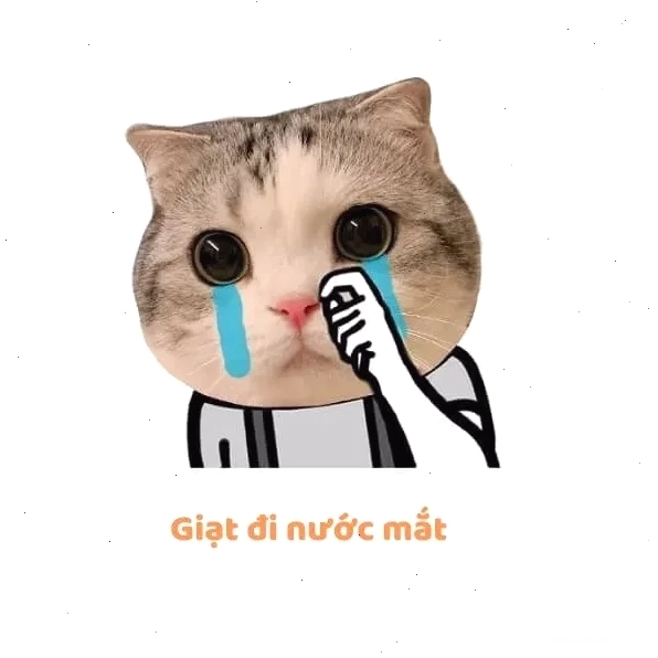 Biểu cảm vui nhộn khi sử dụng câu nói còn gì nữa đâu mà khóc với sầu