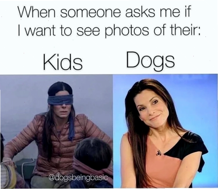 bo meme mặt đơ