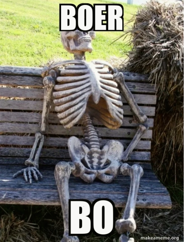 bo meme ngồi máy tính