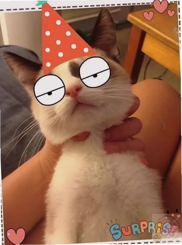 bóp cổ meme bóp cổ meme