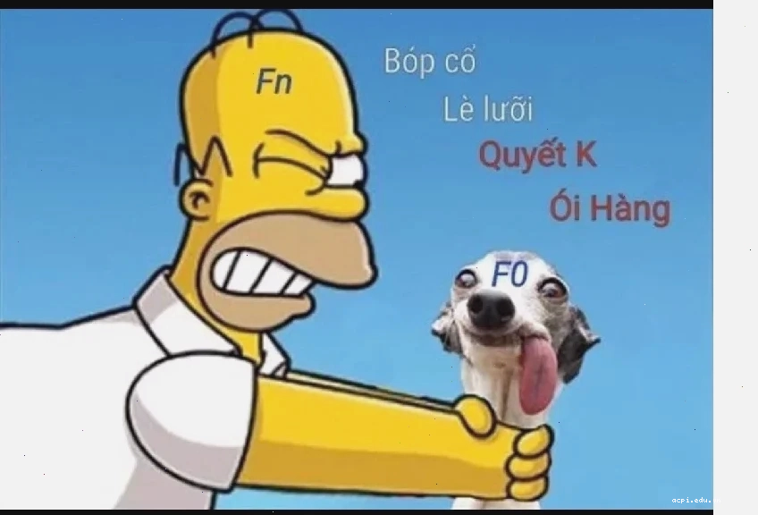 bóp cổ meme bóp cổ meme