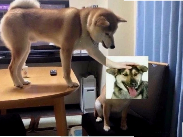 bóp cổ meme bóp cổ meme