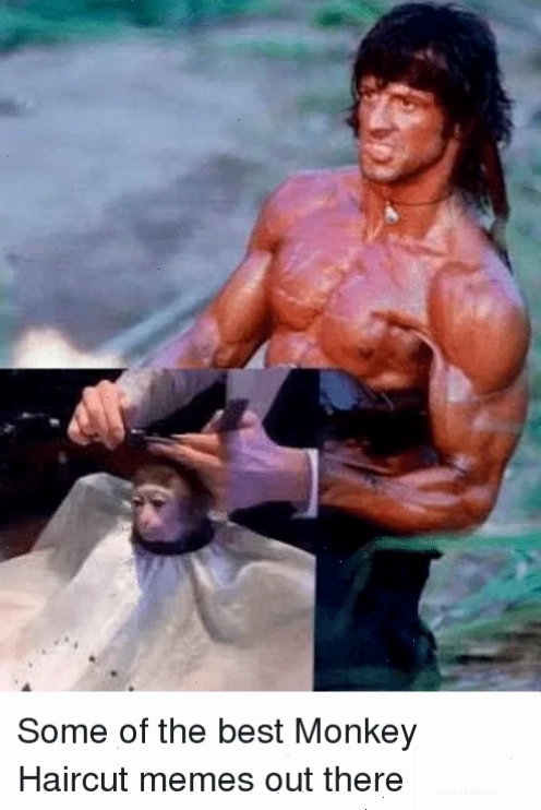 bóp cổ meme bóp cổ meme