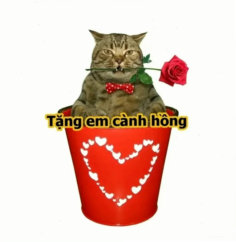 Bút ký in logo với phong cách quà tặng meme