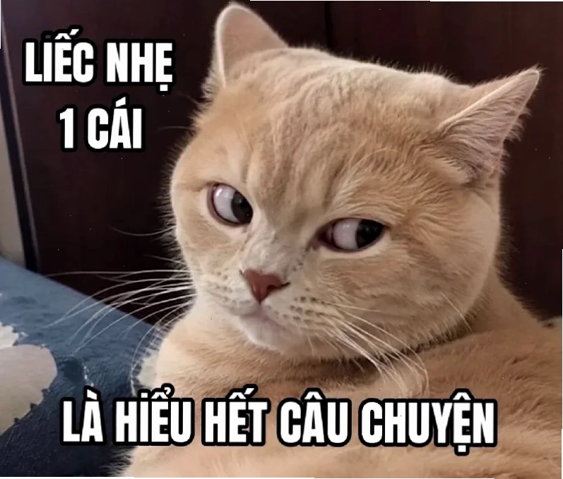 cà khịa duyên dáng
