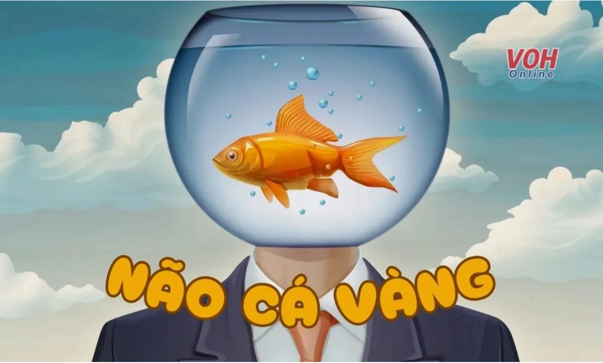cá vàng meme