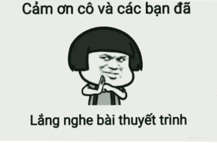 cảm ơn đã lắng nghe meme chú mèo