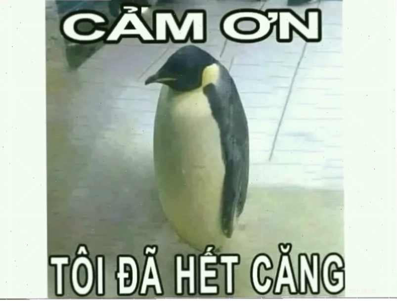cảm ơn đã lắng nghe meme cười