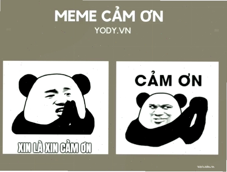 cảm ơn đã lắng nghe meme đáng yêu