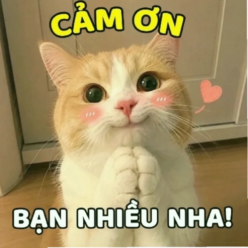 cảm ơn đã lắng nghe meme kết thúc