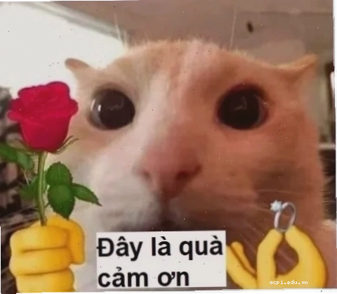 cảm ơn đã lắng nghe meme troll kiên nhẫn
