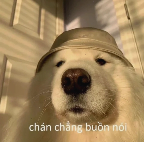 cạn lời meme bó tay toàn phần