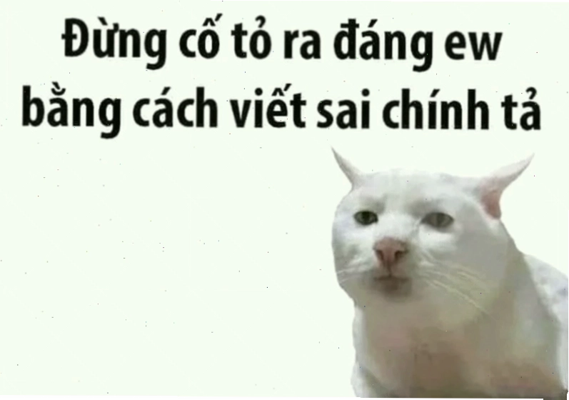 cảnh sát meme