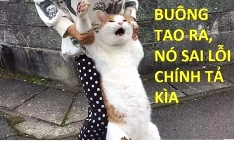 cảnh sát meme độc đáo