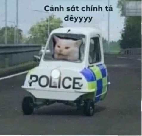cảnh sát mỹ meme
