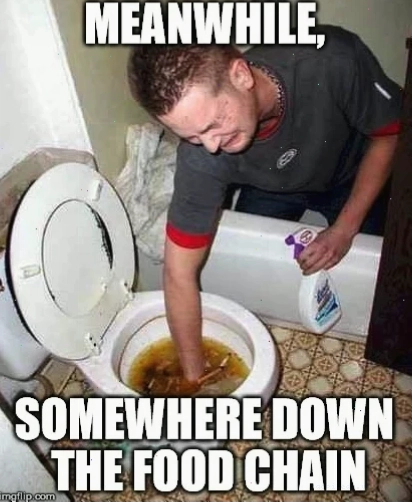 chaien meme buồn