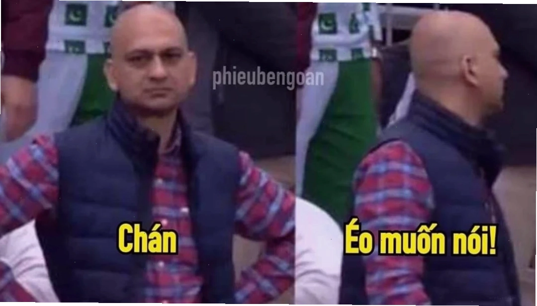 chán chả muốn nói meme mèo bất động