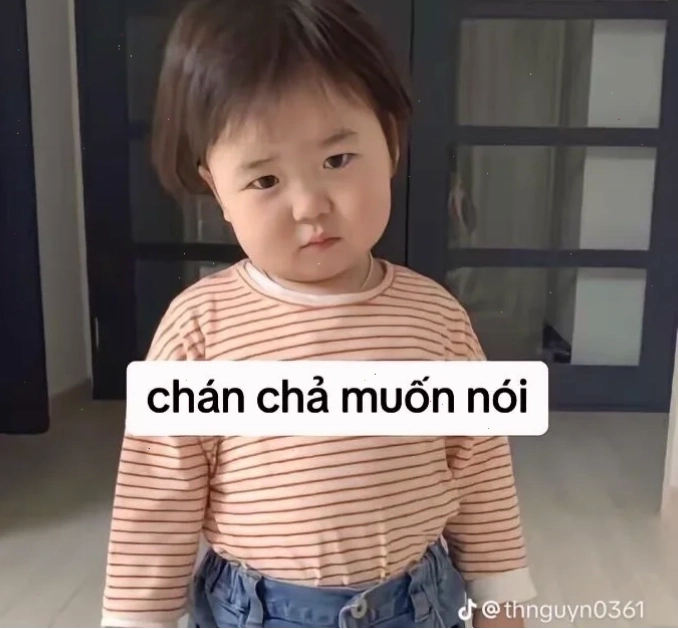 chán chả muốn nói meme mèo họp hành