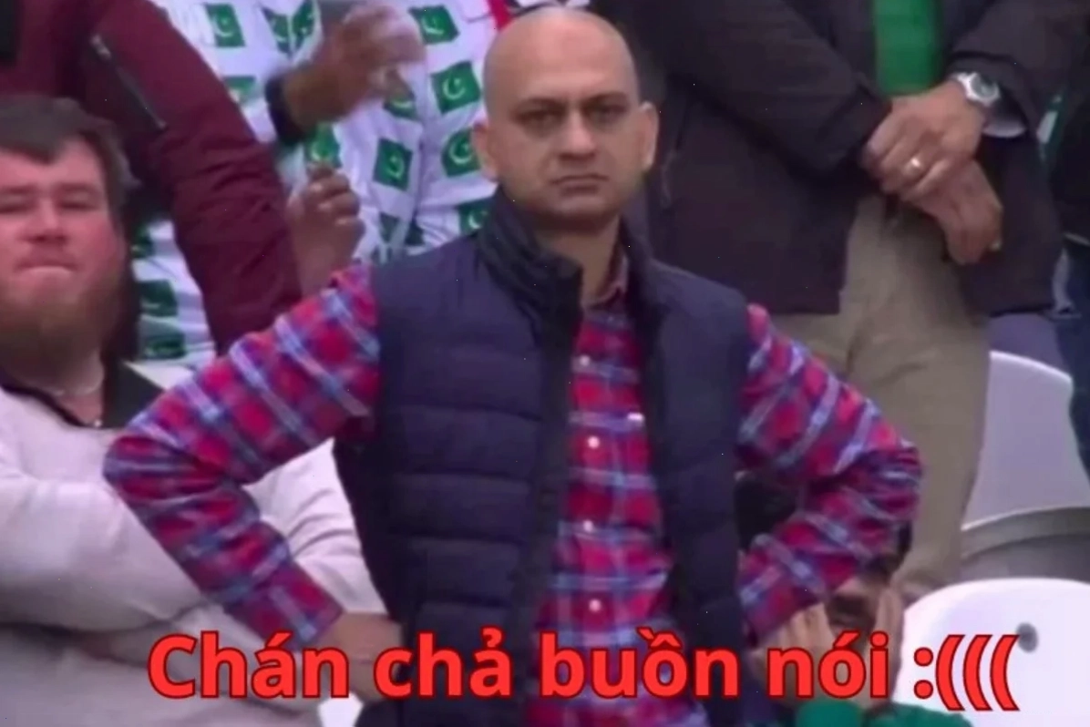 chán chả muốn nói meme mèo mệt mỏi