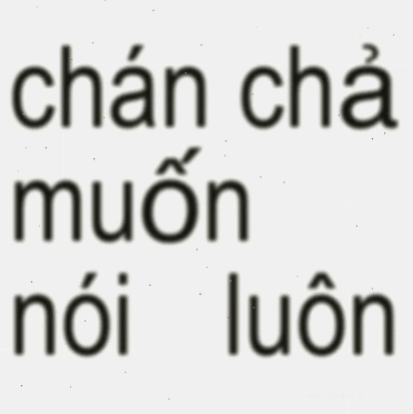 chán chả muốn nói meme mèo nằm sấp