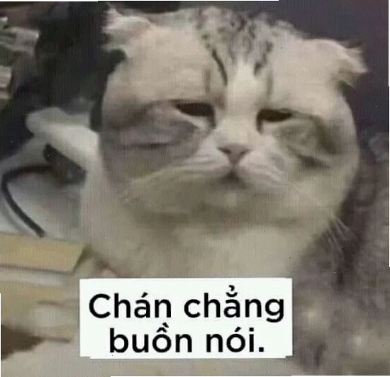 chán chả muốn nói meme mèo phồng má