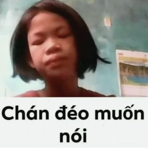 chán chả muốn nói meme mèo thở dài