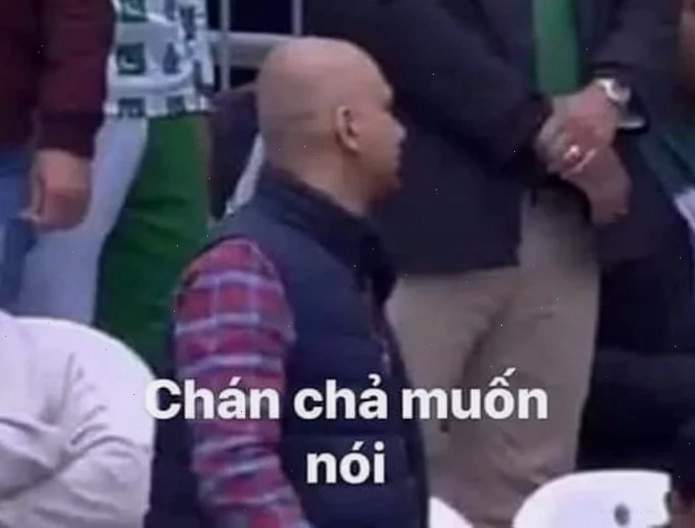 chán chả muốn nói meme mèo uể oải