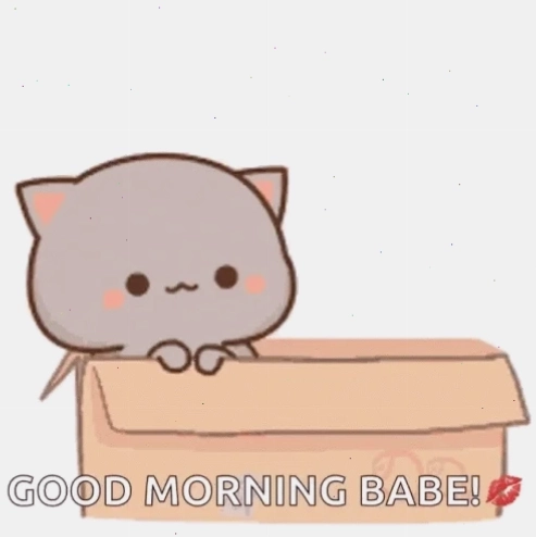 chào buổi sáng meme 17