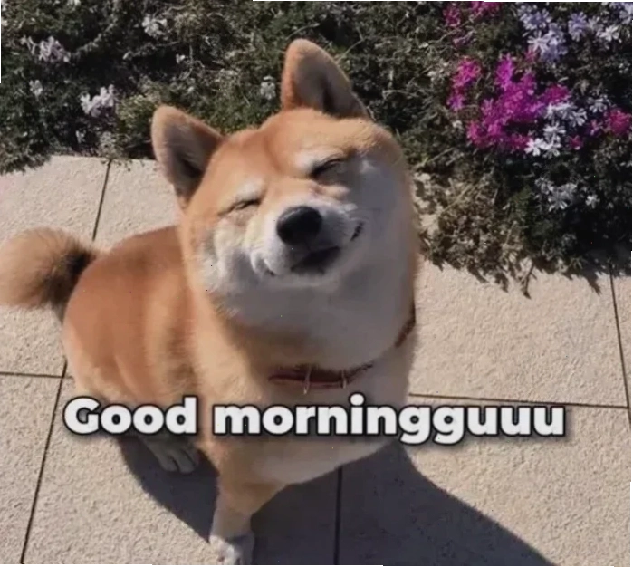 chào buổi sáng meme 23