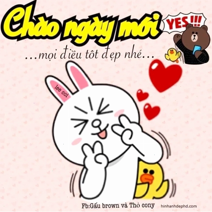 chào buổi sáng meme 27