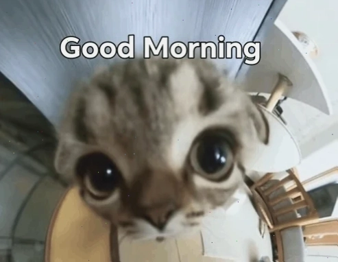 chào buổi sáng meme bất ngờ