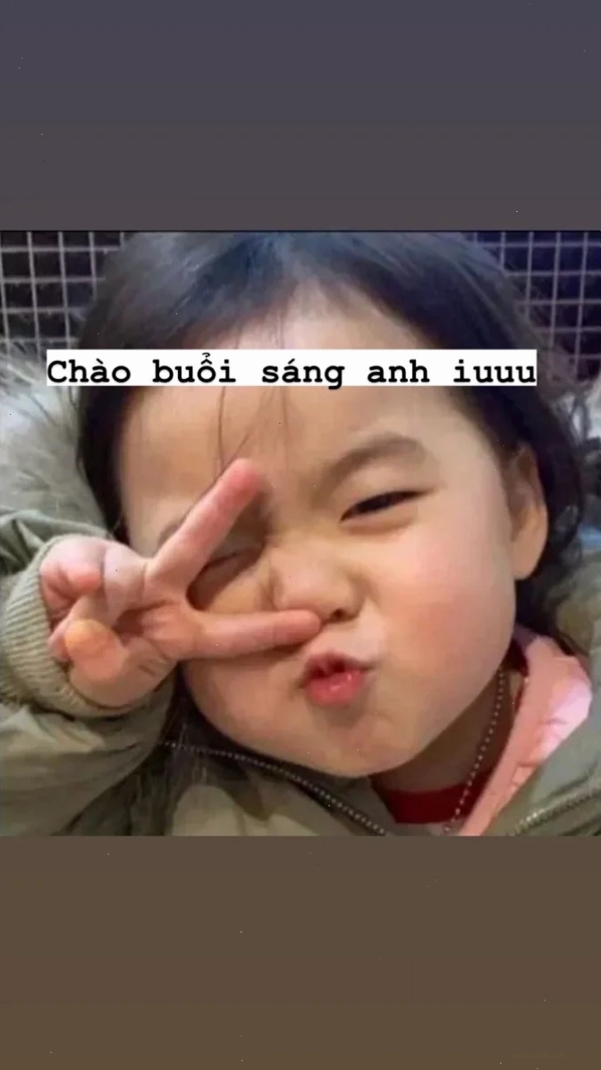 chào buổi sáng meme lầy lội