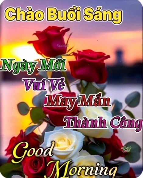 chào buổi sáng meme mèo đang dụi mắt