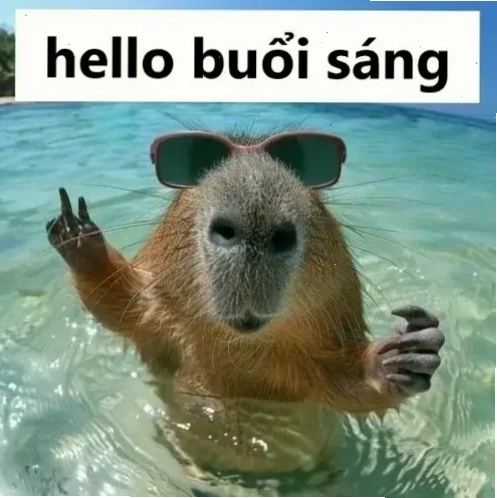 chào buổi sáng meme sến đầy hoa lá