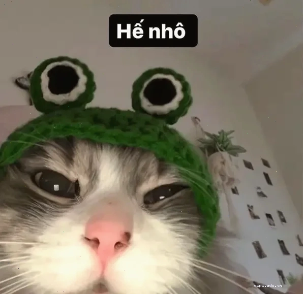 chào buổi sáng meme văn phòng