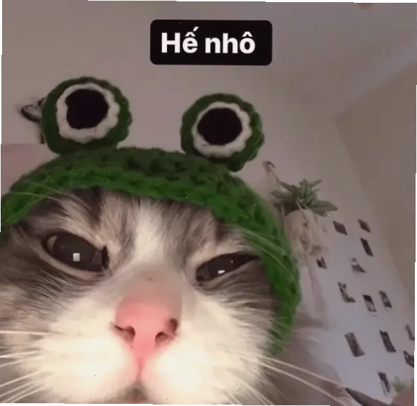 chào cờ meme