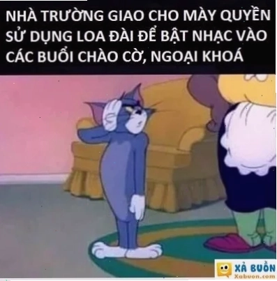 chào cờ meme