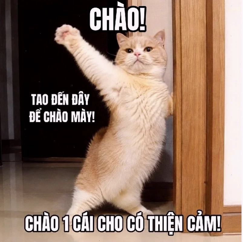 chào cờ meme