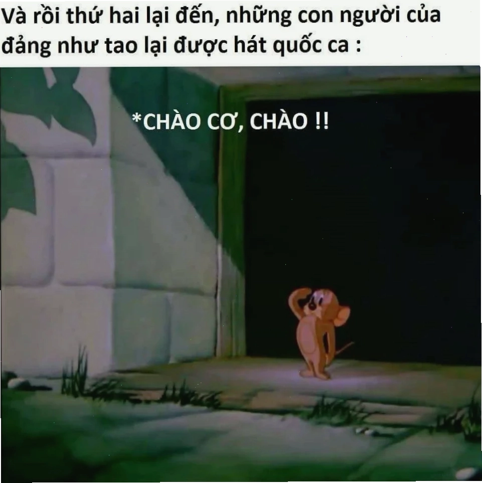 chào cờ meme