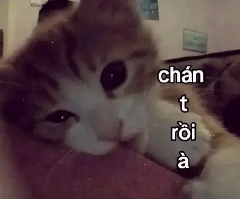 chia tay meme hài