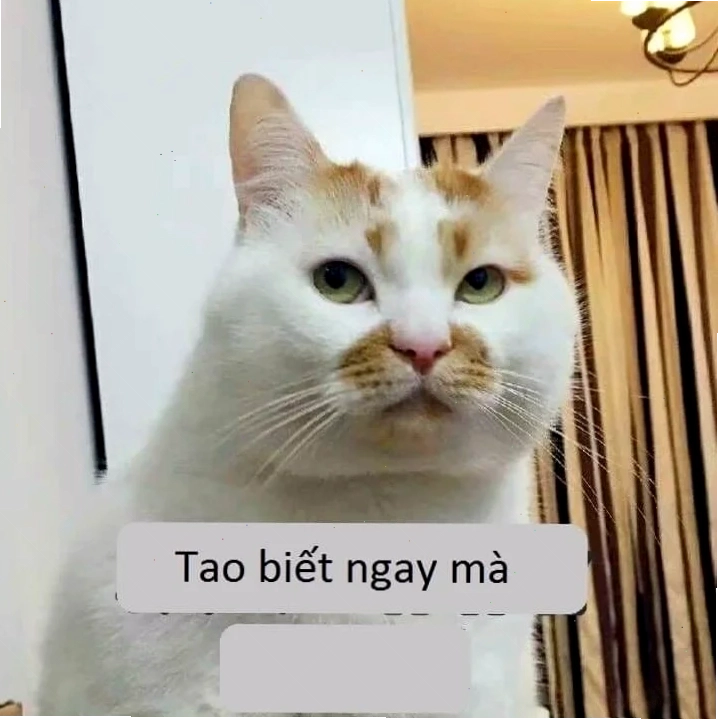 chia tay meme hài