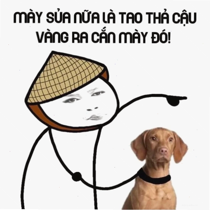 Chó cắn meme nhìn thôi đã biết hôm nay có biến