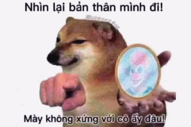Chó tinh quái Chó dễ thương chỉ tay với vẻ mặt tinh quái