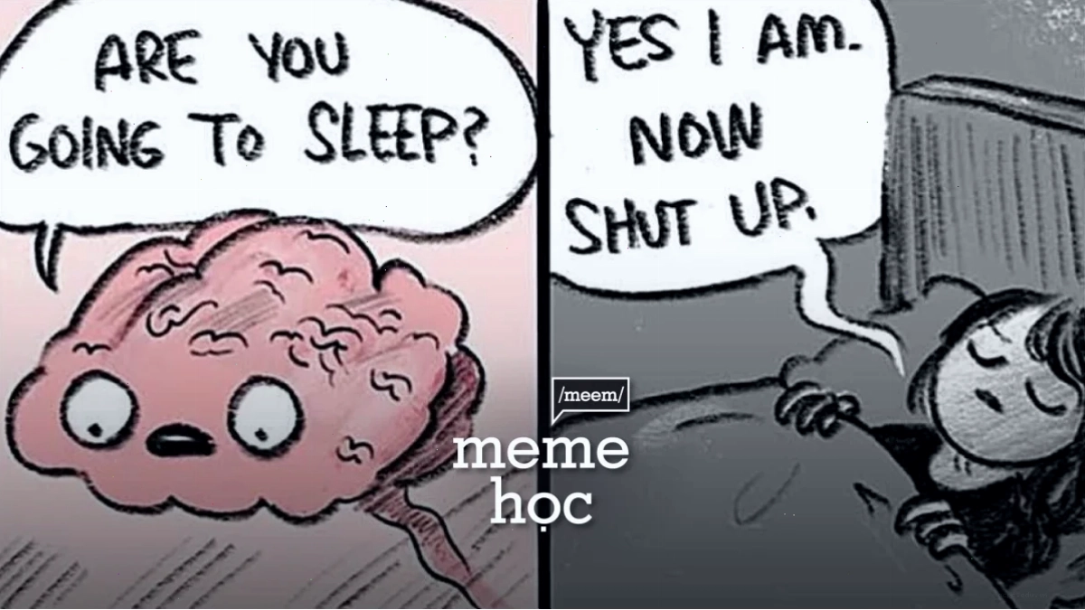 chó ngồi thiền meme độc bản