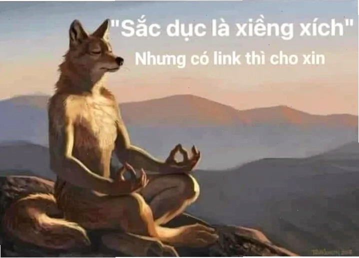 chó ngồi thiền meme hài