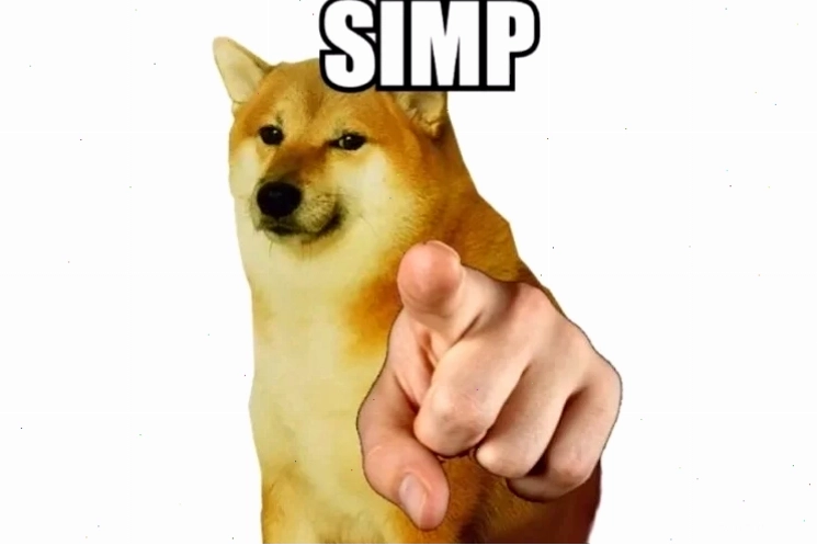 Husky chỉ tay meme hài hước Chú chó Husky chỉ tay meme với ánh mắt tinh quái
