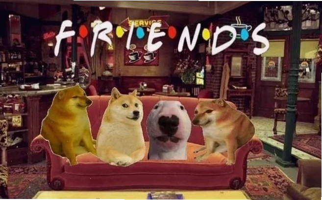 chú chó meme cheems chơi game